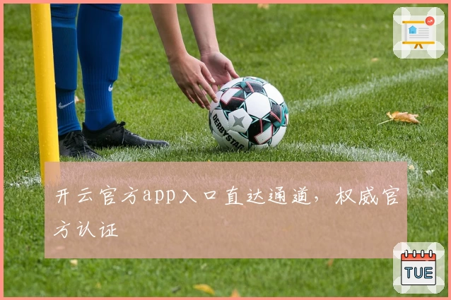 开云官方app入口直达通道，权威官方认证