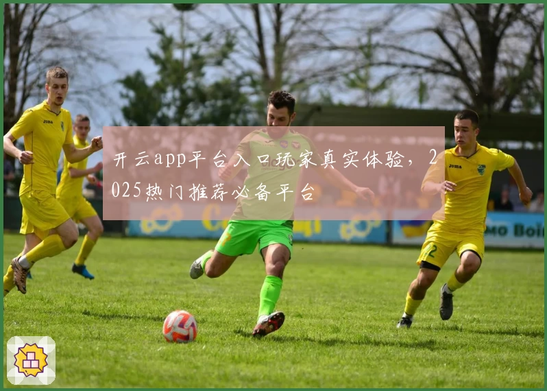 开云app平台入口玩家真实体验，2025热门推荐必备平台