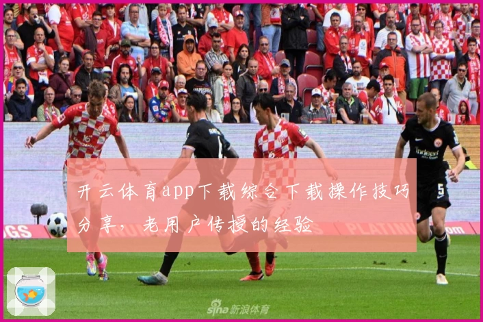 开云体育app下载综合下载操作技巧分享，老用户传授的经验