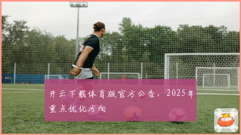 开云下载体育版官方公告，2025年重点优化方向