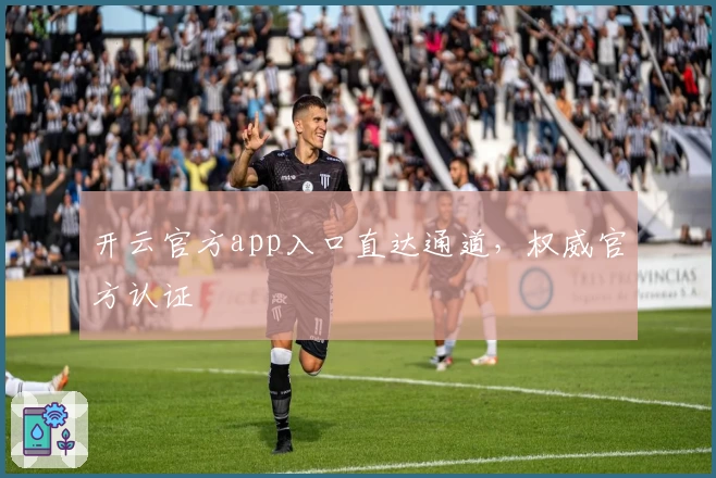 开云官方app入口直达通道，权威官方认证