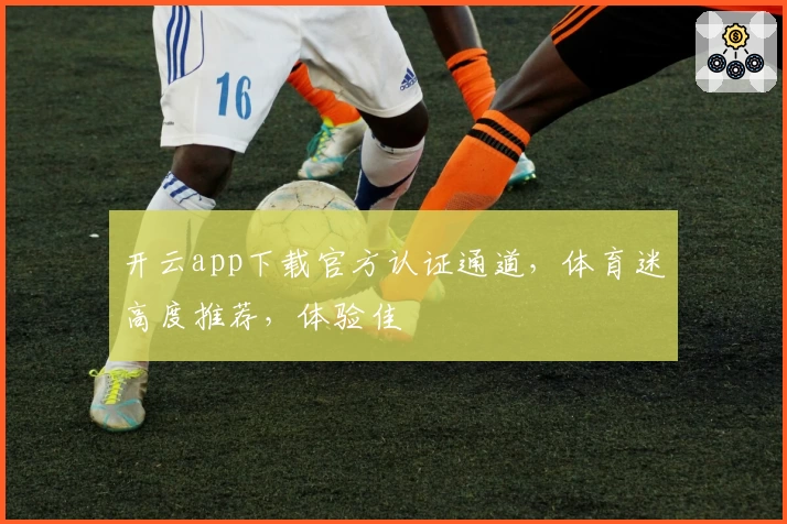 开云app下载官方认证通道，体育迷高度推荐，体验佳