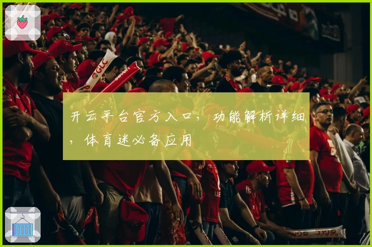 开云平台官方入口，功能解析详细，体育迷必备应用